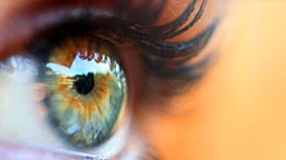 Up close picture of hazel eye